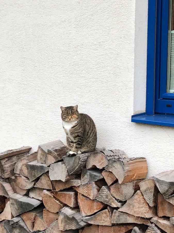 Villa Haus Sonnenweg Mariapfarr Esterno foto